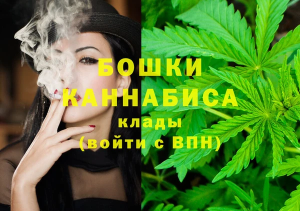стаф Коряжма