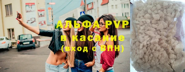 стаф Коряжма