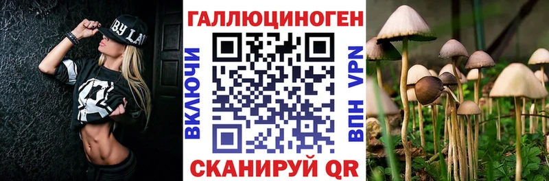 Псилоцибиновые грибы GOLDEN TEACHER  Купить где  Туринск 